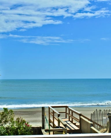 Wooden beach boardwalk and dune fence with palm tree, sandy beach, and ocean waves under blue sky