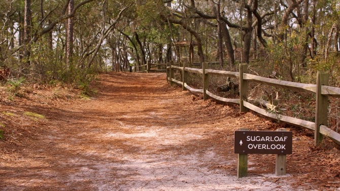 Carolina Beach State Park Half Marathon & 5K Run