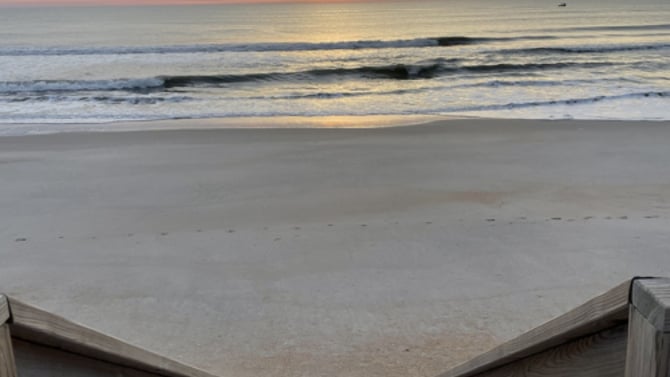 Things to Do in Carolina Beach and Kure Beach in January