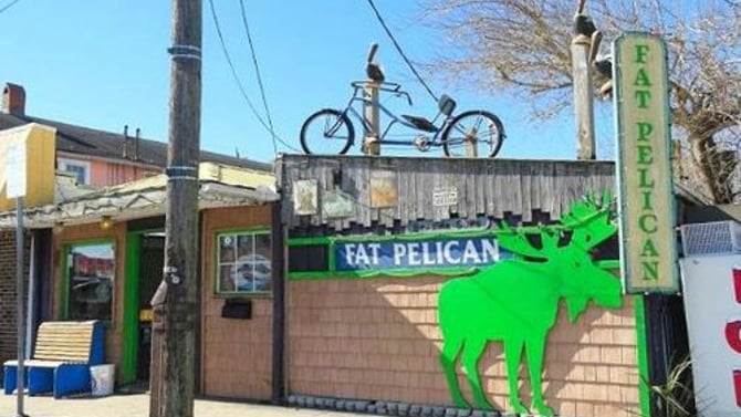 Fat Pelican